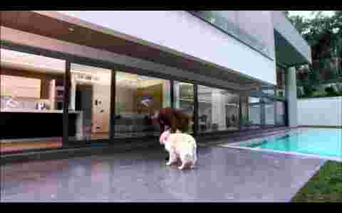 ΓΙΑΤΙ ΠΑΡΑΘΥΡΑ EUROPA ?