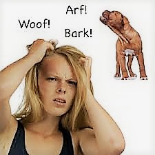 Η ηχομόνωση των κουφωμάτων λύση για το γαύγισμα