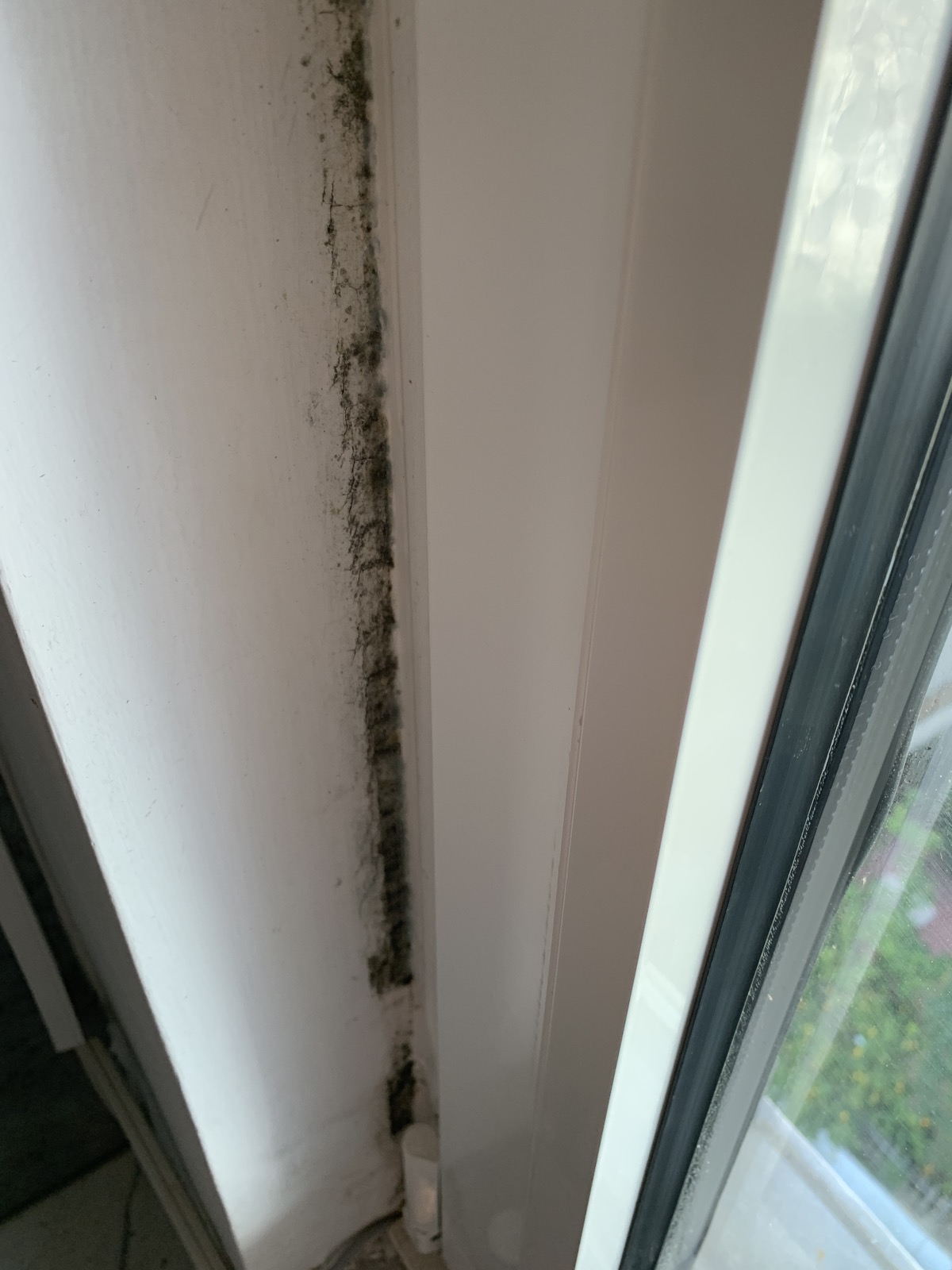 Μούχλες πάνω στα κουφώματα