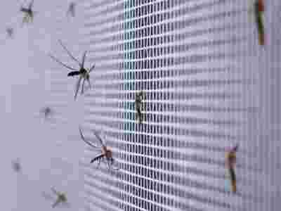 Σίτες αλουμινίου, τύποι, ποιότητες ,τιμές.