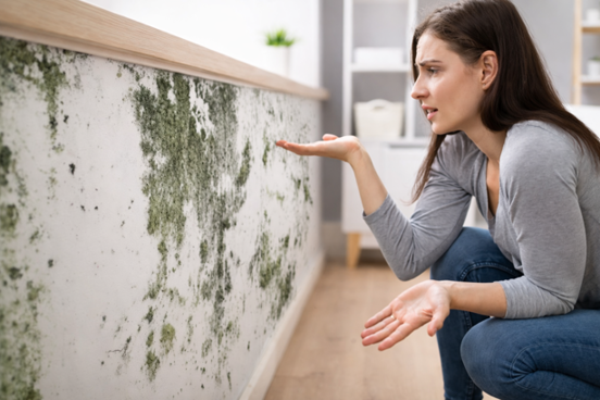 Καθαρισμός κουφωμάτων - παραθύρων, ρολών , σητών, παντζουριών